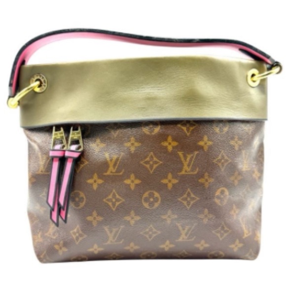 Louis Vuitton Brown and Gold Hobo Bag - Picture 1 of 3
